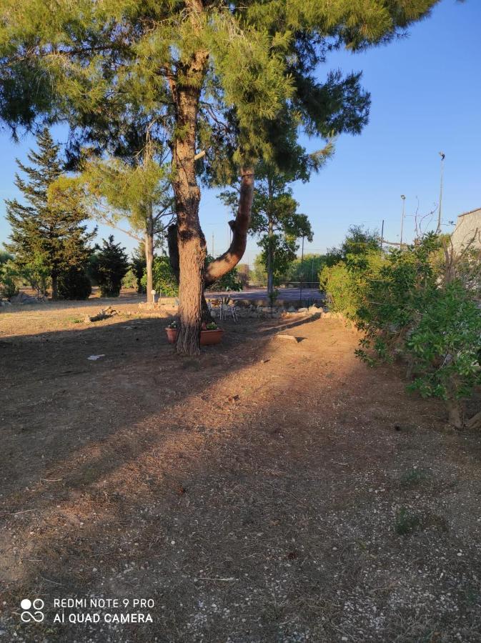 Al Vecchio Trullo Campomarino (Taranto)