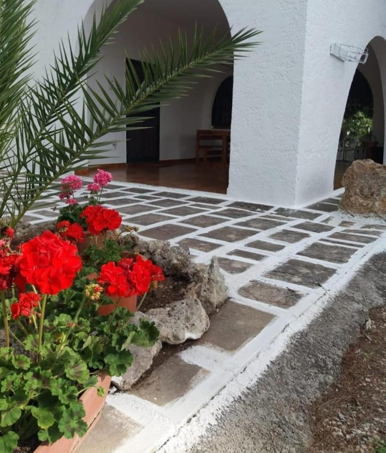 Hébergement de vacances Al Vecchio Trullo